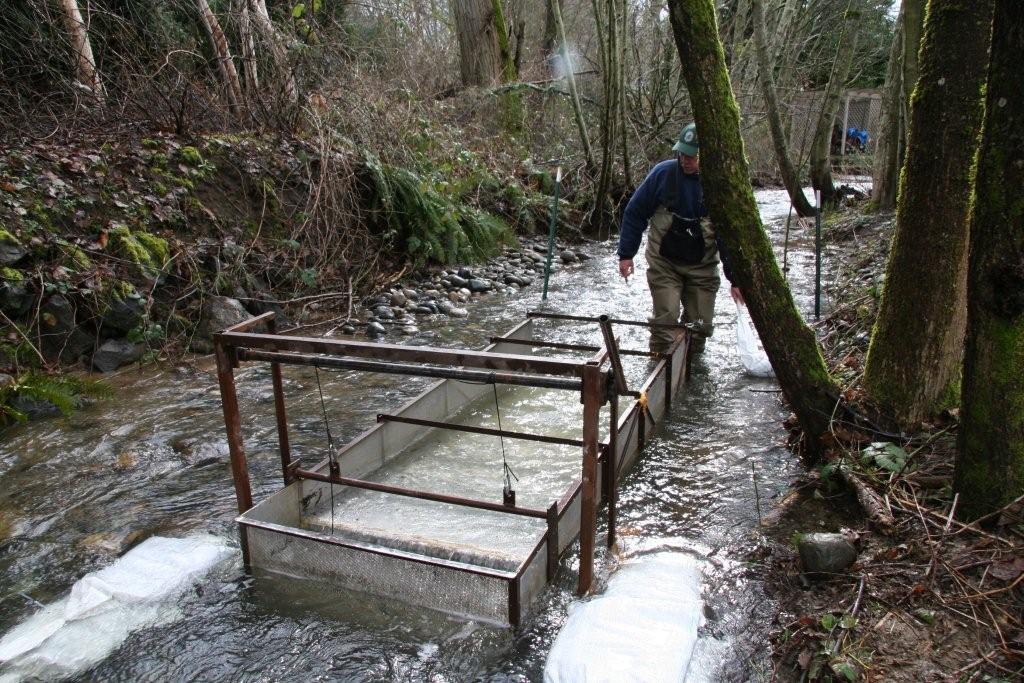 Installing_Kokanee_Trap_on_Lewis_Creek_042